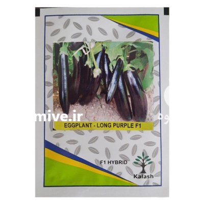 بذر بادمجان لانگ پورپل شادو در شیراز در گروه خرید و فروش بذر بادمجان در یکمیوه -عکس1