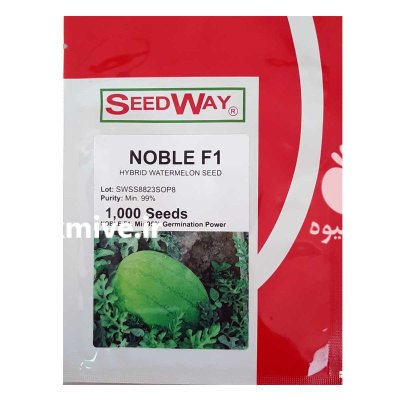 بذر هندوانه چارلستون گری نوبل در تهران در گروه خرید و فروش بذر هندوانه در یکمیوه -عکس1