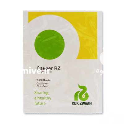 بذر گل کلم کاسپر در تهران در گروه خرید و فروش بذر صیفی جات در یکمیوه -عکس1