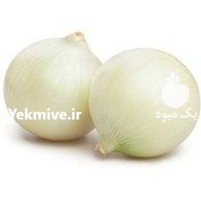 قیمت بذر پیاز مینروا بذر پیاز در مشهد در گروه خرید و فروش بذر پیاز در یکمیوه -عکس2
