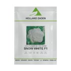 بذر گل کلم اسنو و ایت در شیراز در گروه خرید و فروش بذر صیفی جات در یکمیوه