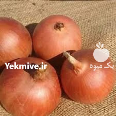 بذر پیاز زرد فلات در کرمان در گروه خرید و فروش بذر پیاز در یکمیوه -عکس1