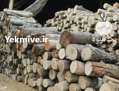 خرید فروش هیزم خشک شومینه ای در تهران در گروه خرید و فروش هیزم در یکمیوه -عکس1