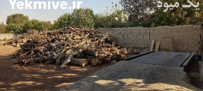 خرید فروش هیزم خشک شومینه ای در تهران در گروه خرید و فروش هیزم در یکمیوه -عکس4