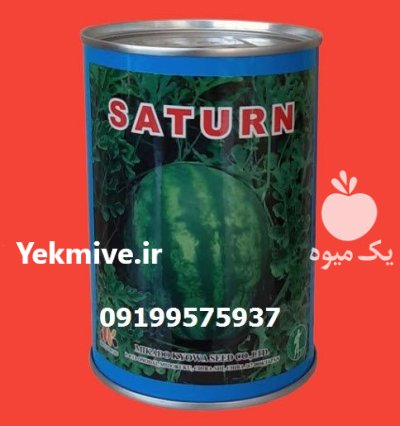 بذر هندوانه میکادو راز طعم زیبایی در مشهد در گروه خرید و فروش بذر هندوانه در یکمیوه -عکس1