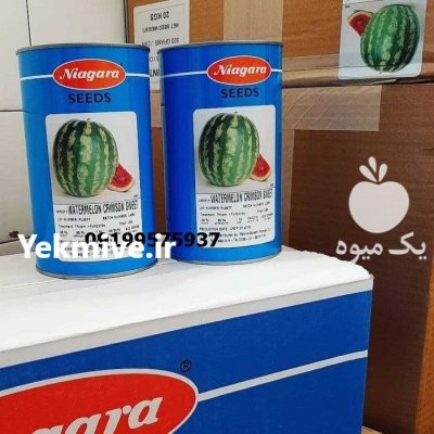 خرید بذر نیگارا بهترین بذر هندوانه در اصفهان در گروه خرید و فروش بذر هندوانه در یکمیوه -عکس1