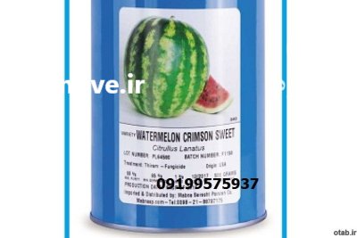 بذر هندوانه نیگارا طعم فوق العاده در شیراز در گروه خرید و فروش بذر هندوانه در یکمیوه -عکس1