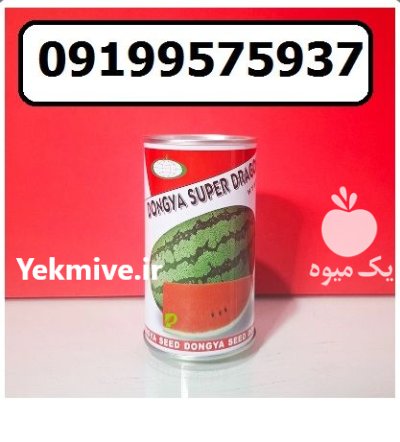 بذر هندوانه سوپر دراگون در جیرفت در گروه خرید و فروش بذر هندوانه در یکمیوه -عکس1