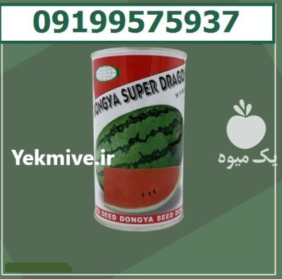 فروش بذر هندوانه سوپر دراگون در تهران در گروه خرید و فروش بذر هندوانه در یکمیوه -عکس1