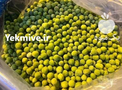 فروش بذر نخودفرنگی بذر نخودفرنگی در یزد در گروه خرید و فروش بذر نخود در یکمیوه -عکس1