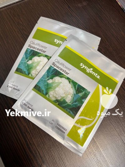 فروش بذر گل کلم اسپیس استار در تهران در گروه خرید و فروش بذر صیفی جات در یکمیوه -عکس2