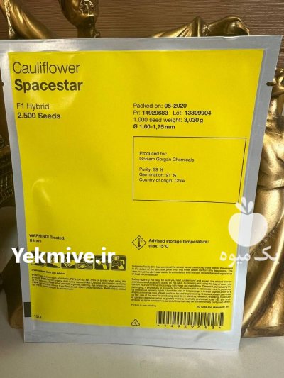فروش بذر گل کلم اسپیس استار در تهران در گروه خرید و فروش بذر صیفی جات در یکمیوه -عکس3