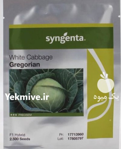 فروش بذر کلم گریگورین بذر کلم در آران و بیدگل در گروه خرید و فروش بذر صیفی جات در یکمیوه -عکس1