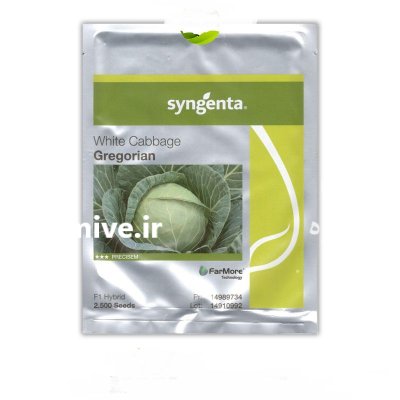 فروش بذر کلم گریگورین بذر کلم در آران و بیدگل در گروه خرید و فروش بذر صیفی جات در یکمیوه -عکس2