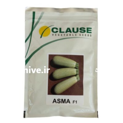 قیمت بذر کدو سبز ورونیکا بهترین در ایلام در گروه خرید و فروش بذر کدو در یکمیوه -عکس1