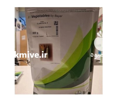 بذر کدو تک گل بذر پربار در سنندج در گروه خرید و فروش بذر کدو در یکمیوه -عکس1