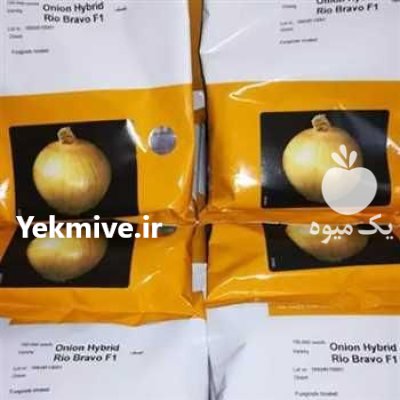 قیمت بذر پیاز ریوبراوو خرید بذر در فردوس در گروه خرید و فروش بذر پیاز در یکمیوه -عکس2
