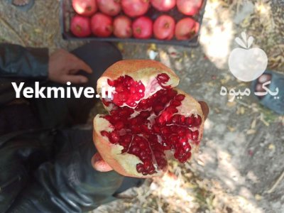 انار درجه یک در کونانی در گروه خرید و فروش انار در یکمیوه -عکس1