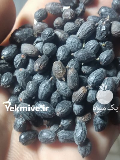 قیمت خرید ویژه میوه نخل اره در جهرم در گروه خرید و فروش میوه خشک در یکمیوه -عکس2