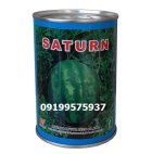 بذر هندوانه میکادو تجربه ای متفاوت در مشهد در گروه خرید و فروش بذر هندوانه در یکمیوه