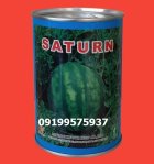 بذر هندوانه میکادو راز طعم زیبایی در مشهد در گروه خرید و فروش بذر هندوانه در یکمیوه