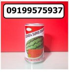 بذر هندوانه سوپر دراگون در جیرفت در گروه خرید و فروش بذر هندوانه در یکمیوه