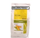 بهترین بذر ذرت اکسن چوئیت در جیرفت در گروه خرید و فروش بذر ذرت در یکمیوه