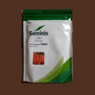 قیمت بذر هویج 2313 بهترین بذر در فیروزآباد در گروه خرید و فروش بذر هویج در یکمیوه