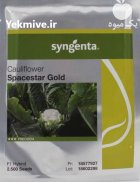 فروش بذر گل کلم اسپیس استار در تهران در گروه خرید و فروش بذر صیفی جات در یکمیوه