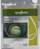 فروش بذر کلم گریگورین بذر کلم در آران و بیدگل در گروه خرید و فروش بذر صیفی جات در یکمیوه