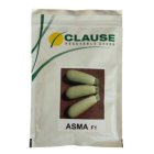 قیمت بذر کدو سبز ورونیکا بهترین در ایلام در گروه خرید و فروش بذر کدو در یکمیوه