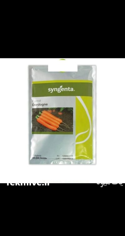 بذر هویج دوردگن در آلاشت در گروه خرید و فروش بذر هویج در یکمیوه -عکس1