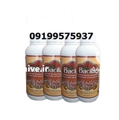 خرید سم باسیلار اصل با بهترین در کرمان در گروه خرید و فروش انواع سم در یکمیوه -عکس1