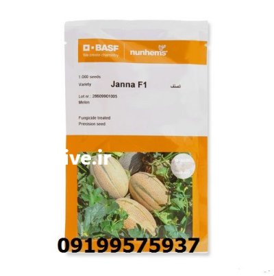 فروش بذر ملون جانا در شیراز در گروه خرید و فروش بذر ملون در یکمیوه -عکس1