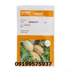 فروش بذر ملون جانا در شیراز در گروه خرید و فروش بذر ملون در یکمیوه