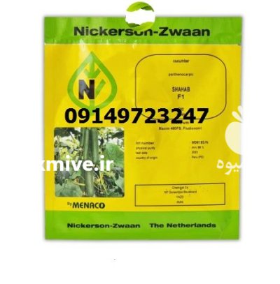بذر خیار شهاب بهترین انتخاب در اصفهان در گروه خرید و فروش بذر خیار در یکمیوه -عکس1
