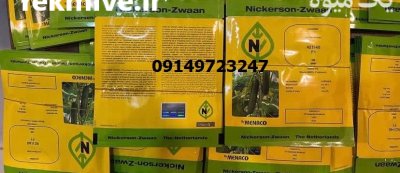 بذر خیار شهاب بهترین انتخاب در اصفهان در گروه خرید و فروش بذر خیار در یکمیوه -عکس3