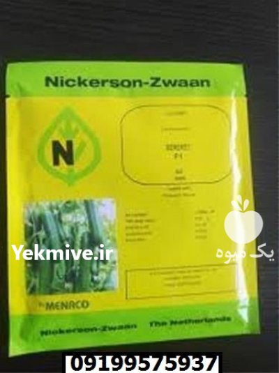 خرید بذر خیار شهاب اصل رشد در شیراز در گروه خرید و فروش بذر خیار در یکمیوه -عکس3