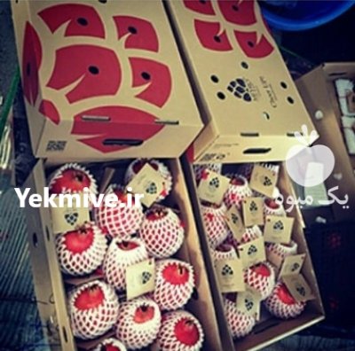 انار ئانه سیاه صادراتی محصولات فراوری در شهرضا در گروه سردخانه در یکمیوه -عکس2