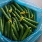 فروش بذر خیار ناگین با کیفیت در بوشهر در گروه خرید و فروش بذر خیار در یکمیوه