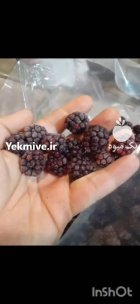 تمشک IQF تمشک منجمد در رشت در گروه خرید و فروش توت در یکمیوه