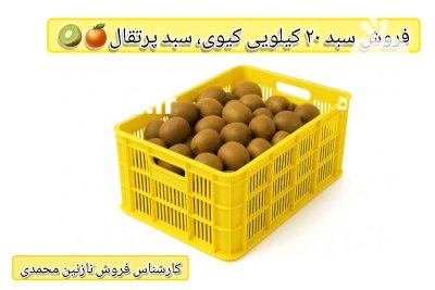 فروش سبد کیوی سبد پرتقال سبد در تنکابن در گروه خرید و فروش انواع سبد در یکمیوه -عکس1