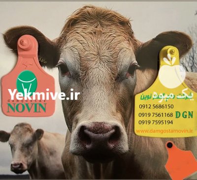 لوازم و دستگاه های دامداری در باغستان در گروه تجهیزات دامداری در یکمیوه -عکس1