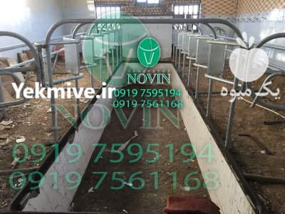 قیمت خرید فریم باکس شیردوش در باغستان در گروه تجهیزات دامداری در یکمیوه -عکس3