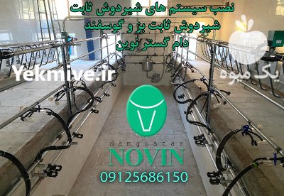 شیردوش ثابت رکوردری و خطی در باغستان در گروه تجهیزات دامداری در یکمیوه -عکس1