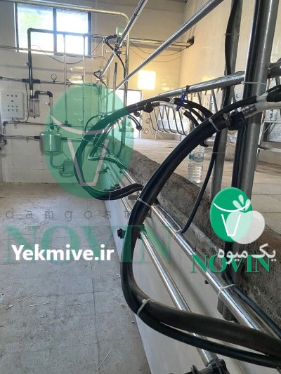 شیردوش ثابت رکوردری و خطی در باغستان در گروه تجهیزات دامداری در یکمیوه -عکس2