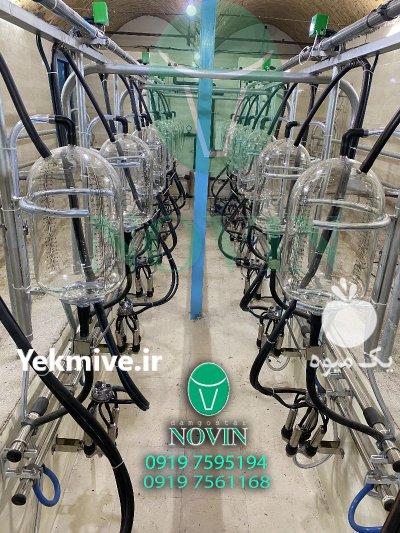 شیردوش ثابت رکوردری و خطی در باغستان در گروه تجهیزات دامداری در یکمیوه -عکس3