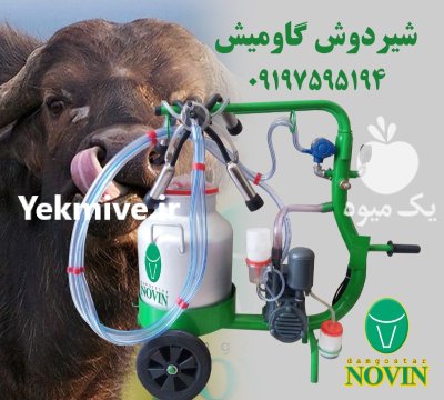 قیمت خرید شیردوش گاومیش در باغستان در تهران در گروه تجهیزات دامداری در یکمیوه -عکس1