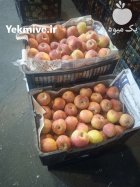 خرید فروش عمده میوه مرکبات درجه دو در تهران در گروه خرید و فروش محصولات باغبانی در یکمیوه