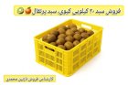 فروش سبد کیوی سبد پرتقال سبد در تنکابن در گروه خرید و فروش انواع سبد در یکمیوه